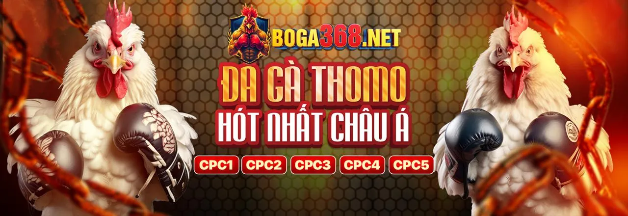 Hình ảnh đá gà trực tuyến kịch tính tại 123b